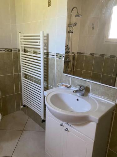 une salle de bain avec un lavabo et un miroir dans l'établissement Maison jardin proche lac & Autoroute, à Les Billaux