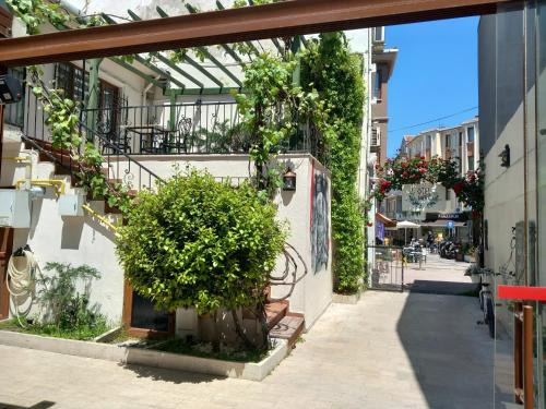 a street in a city with a tree on a building at Daffne Otel in Canakkale