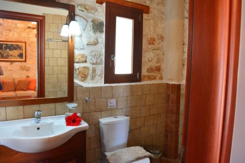 a bathroom with a sink and a toilet and a mirror at Julieta Stone Villa in Andip&aacute;ta Er&iacute;sou
