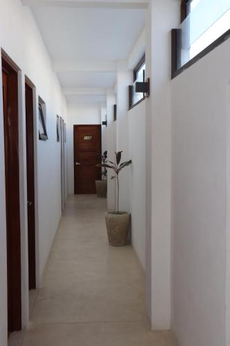 Fotografie z fotogalerie ubytování Hotel Mittoz Holbox v destinaci Ostrov Holbox