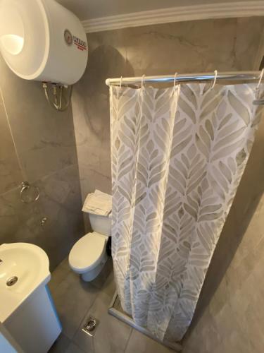 a bathroom with a toilet and a shower curtain at Vivaria House in Paleokastritsa