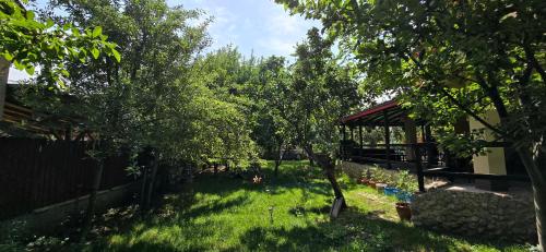 Billede fra billedgalleriet på La mama Miha i Agigea