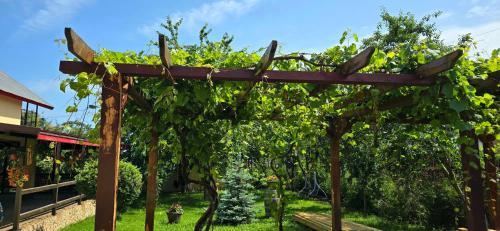 Billede fra billedgalleriet på La mama Miha i Agigea