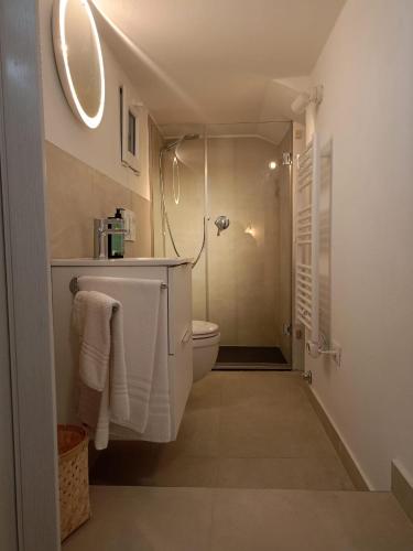 a bathroom with a shower and a toilet and a sink at Bblueb&b in Rimini