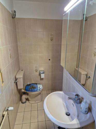 a bathroom with a sink and a toilet at Ferienwohnung Feldblick in Isernhagen
