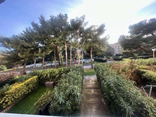 Résidence Alisier - T3 dans le domaine de la Coudoulière proche de la mer MAE-8961