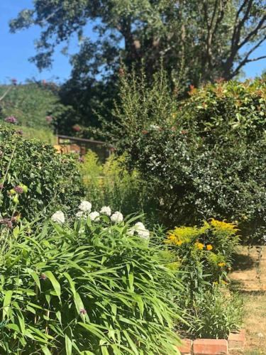 a garden filled with lots of plants and flowers at Linden Suite in Goring