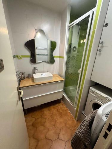 une salle de bain avec un lavabo et une machine à laver dans l'établissement Résidence Drakkar - Appartement cosy dans domaine arboré avec piscine et tennis MAE-8711, à Six-Fours-les-Plages