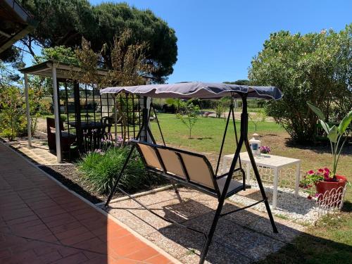 a chair under an umbrella in a garden at Villa Isabella in Marina di Grosseto