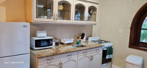 a kitchen with a counter with a microwave and a refrigerator at Sandpiper Beach Apartments in Palm-Eagle Beach