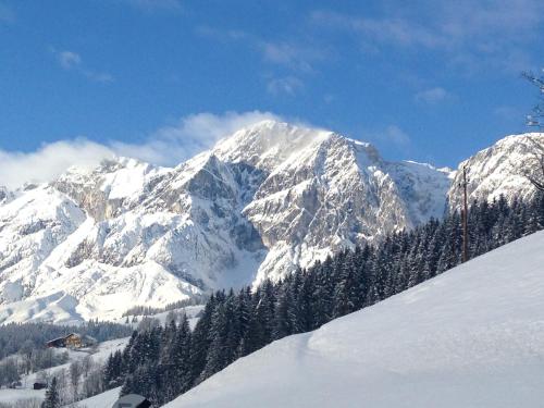 a snow covered mountain with trees in front of it at Alpendomizil Pia in Mühlbach am Hochkönig
