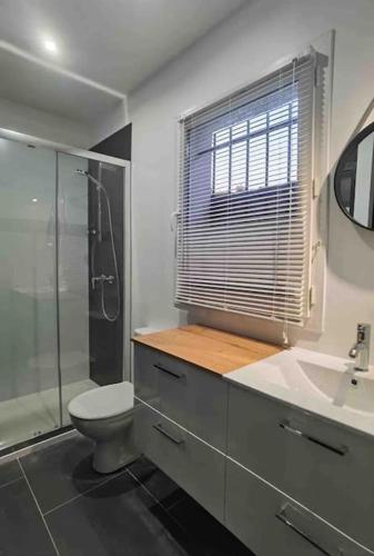 une salle de bain avec toilettes, lavabo et douche dans l'établissement Studio Tholema 5nuits minimum, à Argelès-sur-Mer