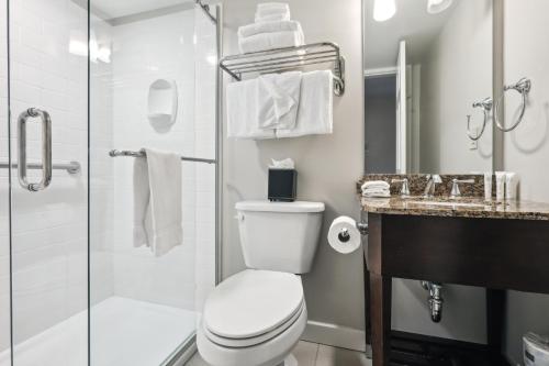 a bathroom with a toilet and a glass shower at French Market Inn in New Orleans