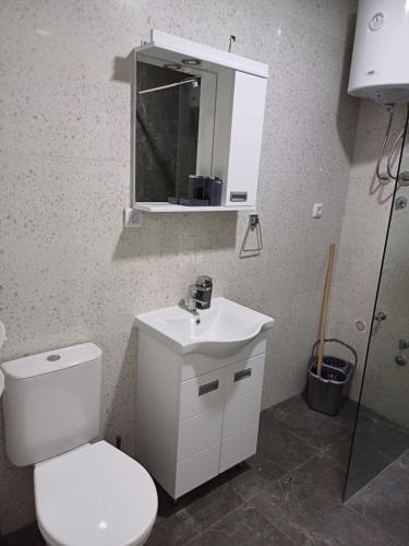 a bathroom with a toilet and a sink and a mirror at Prenoćište SILVER LUX Srebrno Jezero in Veliko Gradište