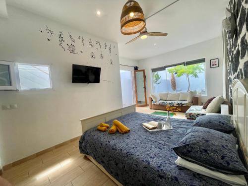 Een TV en/of entertainmentcenter bij Loft La Cueva de los Pájaros
