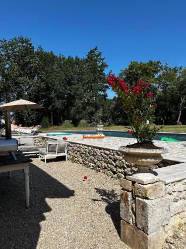 un mur en pierre avec une plante dans un vase à côté d'une piscine dans l'établissement Château Le Repos - Luxury air-conditioned property with pool, à Rouffignac-de-Sigoulès