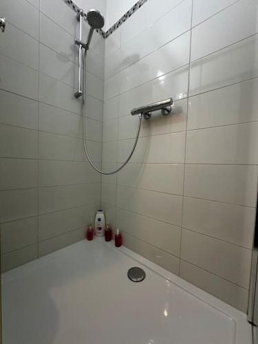 a bathroom with a shower with a toilet in it at Ferienwohnung AltePost in Bad Aussee