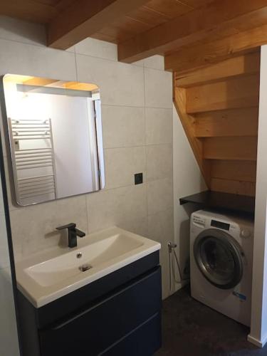 une salle de bain avec un lavabo et une machine à laver dans l'établissement Chez David - Vacances sous les toits, à Brioude