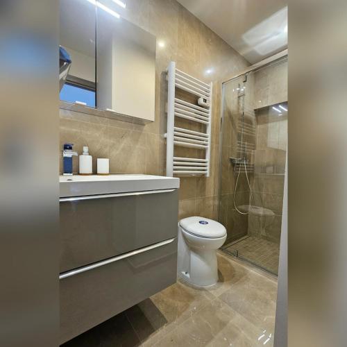 une salle de bain avec toilettes et douche en verre dans l'établissement F3 dans une villa SuperCannes, à Vallauris
