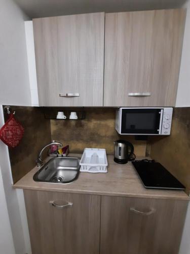 a kitchen counter with a sink and a microwave at Viccinella House in Capranica