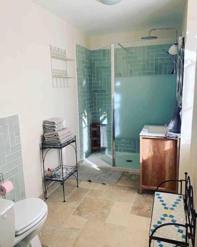 une salle de bain avec une douche, des toilettes et un lavabo dans l'établissement La petite maison de Larroque, à Cassagnes
