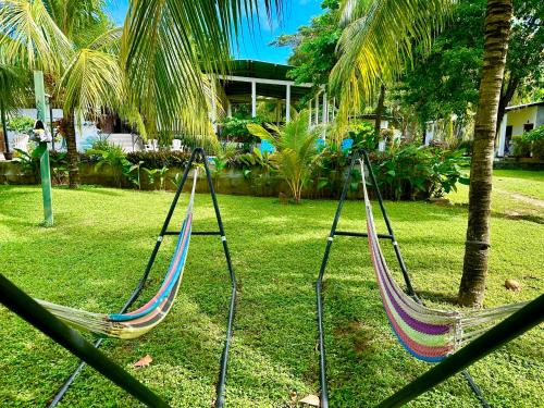 two hammocks in a yard with palm trees at Hospedaje Soma in Moyogalpa