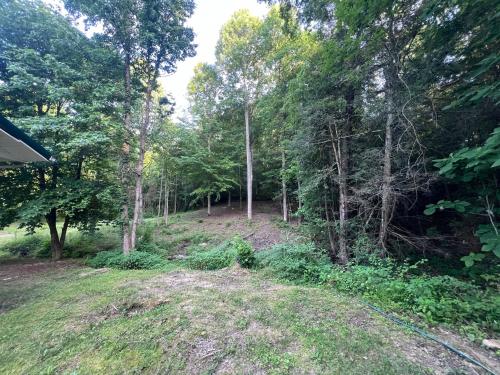 an empty yard with trees in the background at The Eagles Nest in London