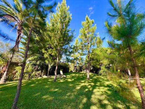 Gallery image of Summerfields & Gardens Lodge in Kitwe