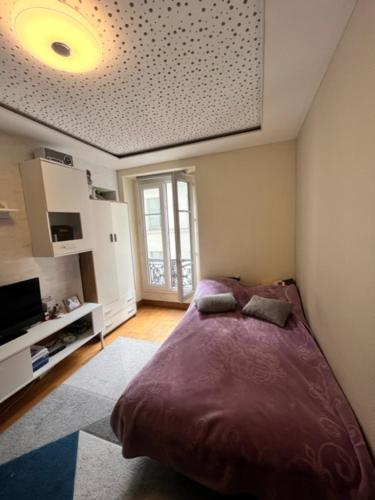 appartement parisien