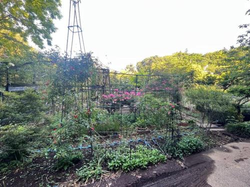 Gallery image of Rose Garden Esta in Kashiwa