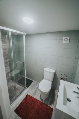a bathroom with a toilet and a shower and a sink at Andar Moradia T2 na Casa Do Olival in São João da Pesqueira