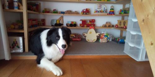 a black and white dog laying in a toy room at Sarari - Vacation STAY 66365v in Ichihara