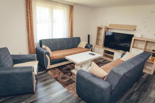 Apartman Djoleにあるシーティングエリア