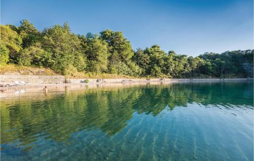 a large body of water with trees on the shore at Stunning Apartment In Omisalj With Wifi in Omišalj