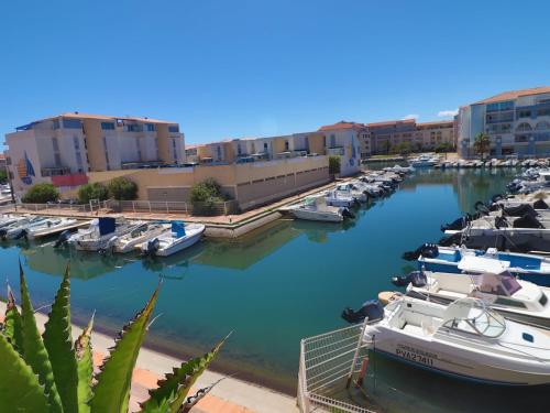 Photo de la galerie de l'établissement Terrasse ombragée de 30m², 2P, Cabine, Parking, Sète - FR-1-472-203, à Sète