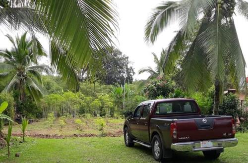 a red truck parked in a field with palm trees at Into the Greens in Madre de Dios