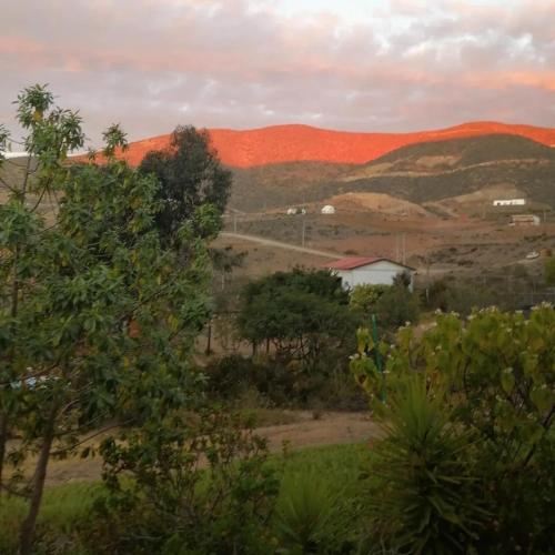 a view of a field with trees and hills at La Serena Casa Cabaña de campo entre cactus y colibríes in La Serena