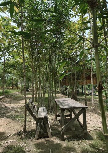 a wooden picnic table and bench in a forest at The Forest - Sell the Experience in Pai