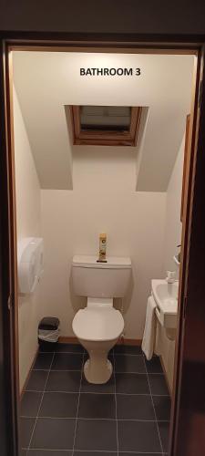 a bathroom with a toilet and a sink at 1 St James in Hanmer Springs