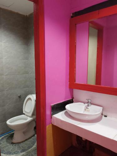 a bathroom with a toilet and a sink and a mirror at WJV INN PALAWAN in Puerto Princesa City