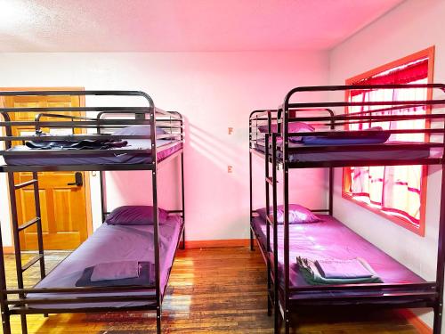 Postel nebo postele na pokoji v ubytování Sin City Hostel