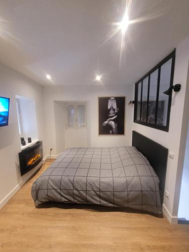 - une chambre avec un lit, une cheminée et une télévision dans l'établissement Love-house, à Bouleternère