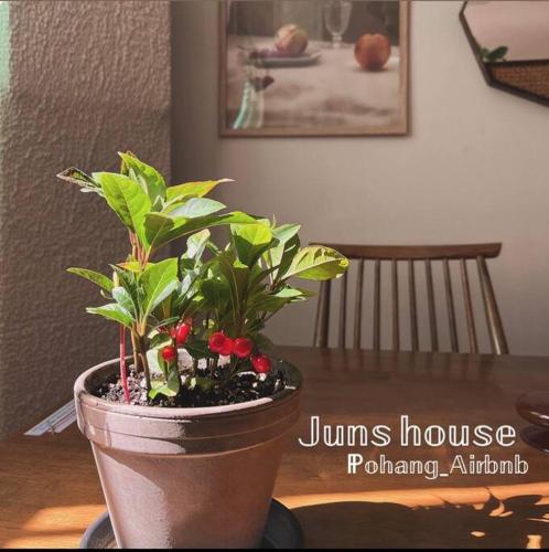 a potted plant sitting on top of a table at Juns House 대인원 수용 가능, 2층 복층 주택, 테라스보유, 가족숙소 적합 in Pohang
