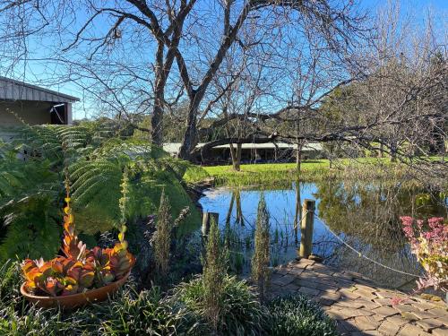 a garden with a pond and flowers in a yard at Guestlands Italia B&B in Arcadia