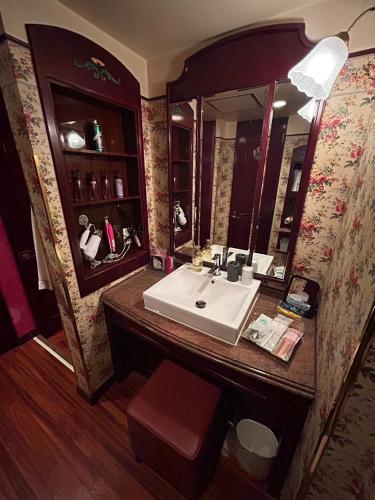 a bathroom with a sink and a mirror at HOTEL D-CUBE 明石店 in Higashi-futami