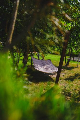 a hammock in the middle of a park at Osada Marchowo in Kielno