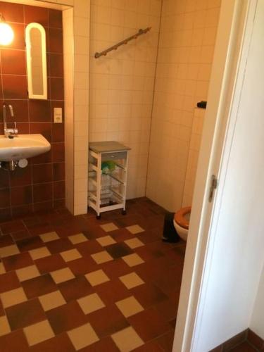 a bathroom with a sink and a toilet at Gastenverblijf Op zijn Zweeds in Echten