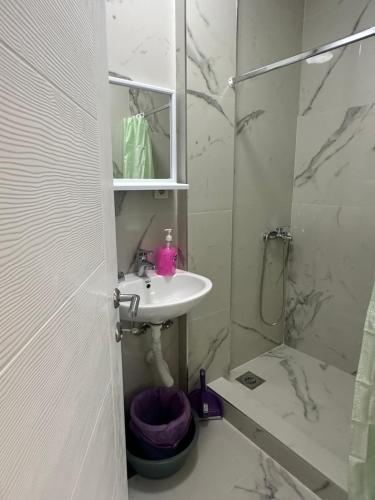 a bathroom with a sink and a shower at Apartmani Sunce in Bar