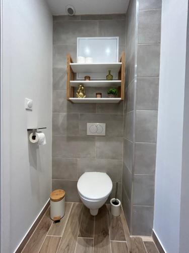 a small bathroom with a toilet and a mirror at Appart 4 personnes Bethune Centre in Béthune