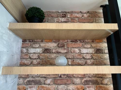 a brick wall with wooden shelves with a plant at Alojamiento a 1 min de la Plaza de Toros Pachuca in Pachuca de Soto